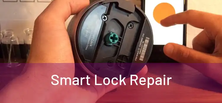 Smart Lock Repair